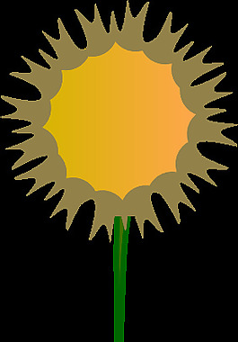 蓟花剪辑艺术