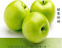 業(yè)務(wù)員培訓(xùn)PPT模板