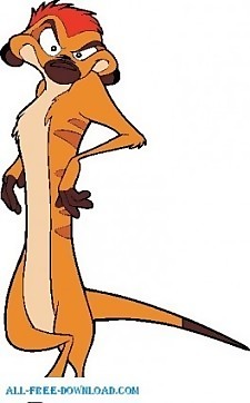 獅子王timon004