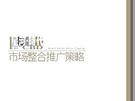 星河時代CBD-市場整合推廣策略