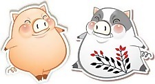 豬15