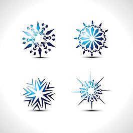 特別的雪花矢量