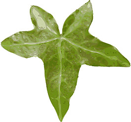 葉片夾藝術(shù)