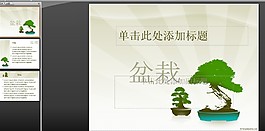 盆景PPT模板