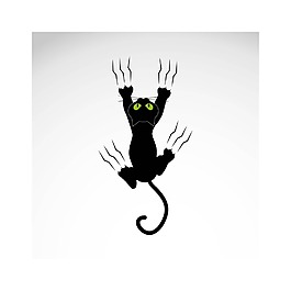 张牙舞爪的小猫