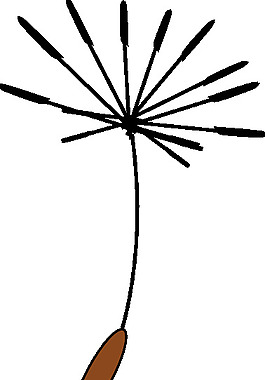 dandelionseed剪貼畫