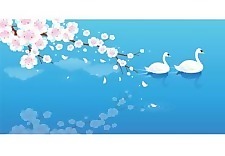 天鵝3