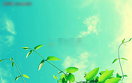 綠色植物PPT