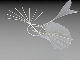 Lilienthal滑翔機(jī)