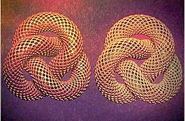 trefoil_knot_voronoi