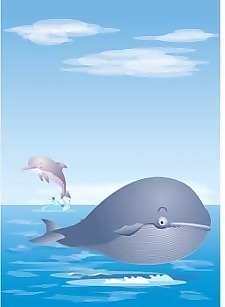 可愛的鯨魚2