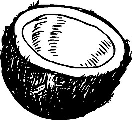 椰子的剪輯藝術(shù)