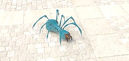 蜘蛛