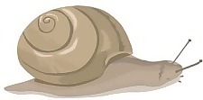 蝸牛1