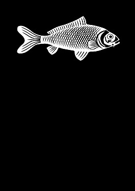 魚