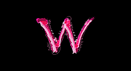 字母w視頻特效