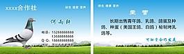 名片
