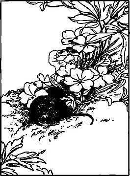 田鼠剪貼畫