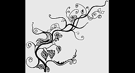 线条装饰花朵特效