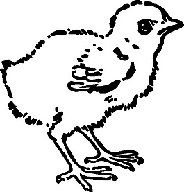 小雞剪貼畫