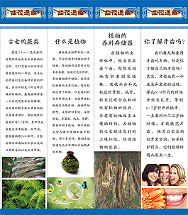 科學知識展板