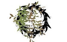 圈刺的