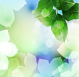 綠色植物矢量圖