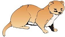 馬戲團的動物2
