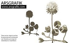 蒲公英花矢量
