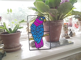 parrot2