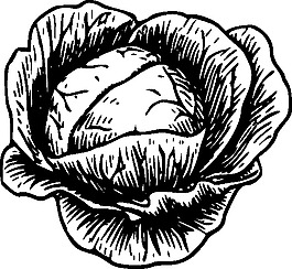 白菜剪貼畫
