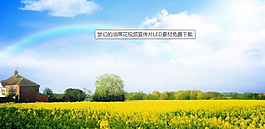 夢(mèng)幻的油菜花視頻宣傳片LED素材