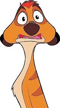 獅子王timon006