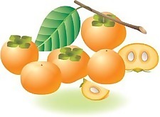 番茄2