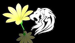 花在克里奥