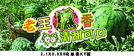 超市西瓜區域吊牌