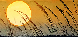 夕陽(yáng)視頻素材LED屏幕模板