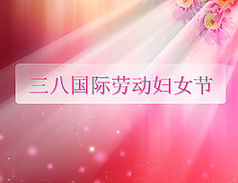 國際勞動婦女節的由來PPT