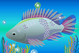 魚類動態PPT