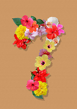 朱瑾花數字7
