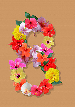 朱瑾花數字8