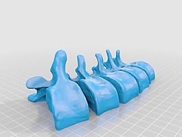 bodyparts3d腰椎