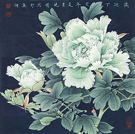 花開富貴