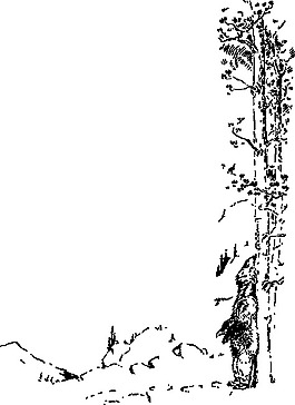 熊抓傷后剪貼畫(huà)