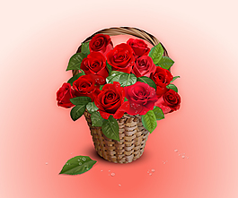 玫瑰花藍背景矢量素材