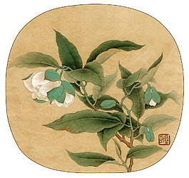 茶花圖