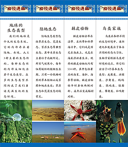 科學知識展板