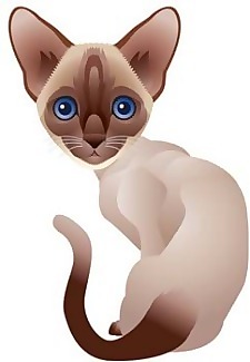 貓68向量
