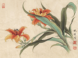萱草圖
