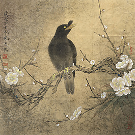 梅花八哥古畫